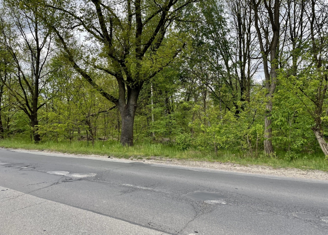 Cztery firmy chcą wybudować i przebudować drogi dojazdowe do S14, w tym Rąbieńską [ZDJĘCIA]