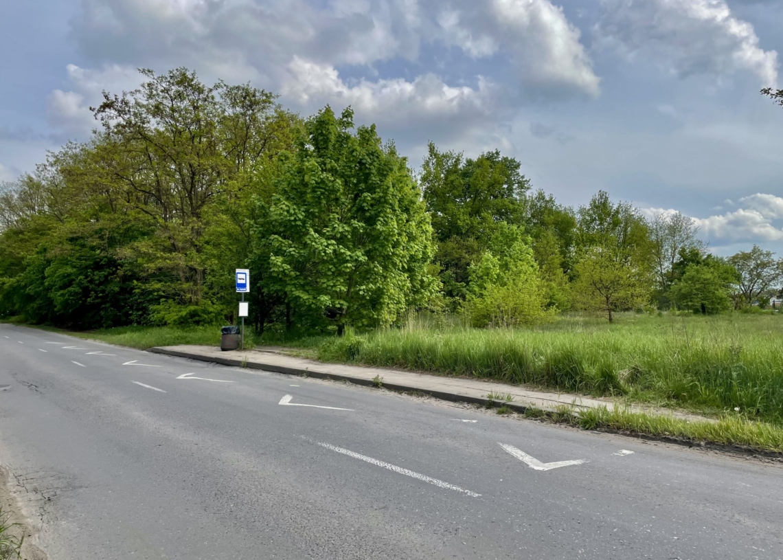 Cztery firmy chcą wybudować i przebudować drogi dojazdowe do S14, w tym Rąbieńską [ZDJĘCIA]
