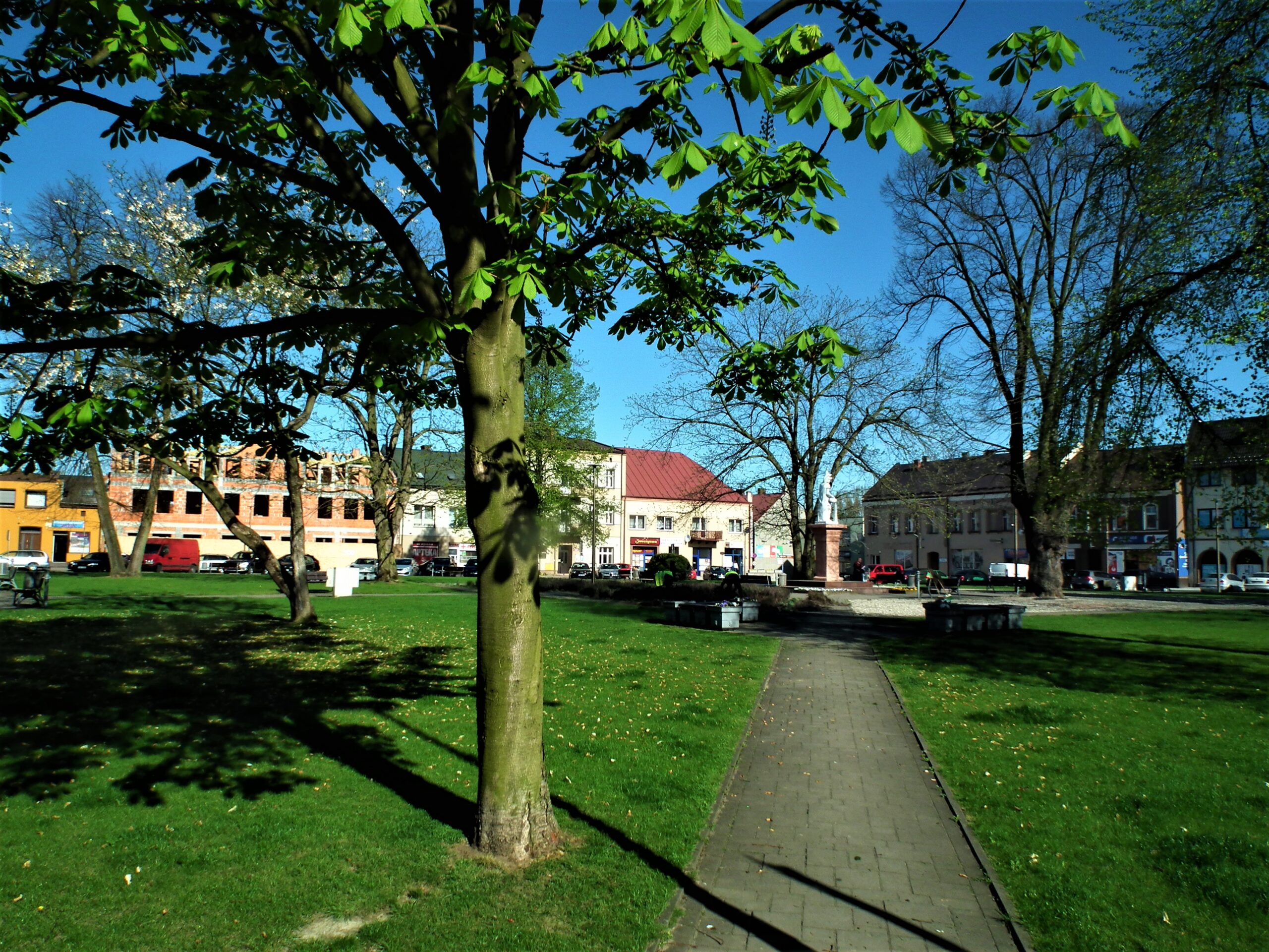 Mikrogranty w Wieruszowie