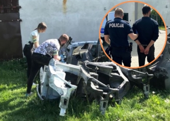 Policja zlikwidowała dziuplę samochodową