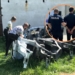 Policja zlikwidowała dziuplę samochodową