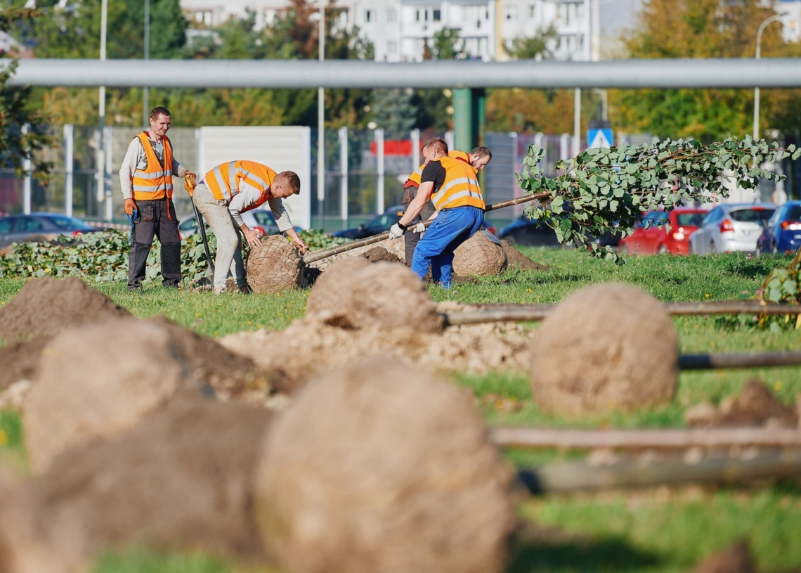 W poniedziałek przy Maratońskiej posadzonych zostanie 30 drzew