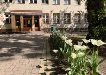 Nabór do szkół podstawowych i klas sportowych