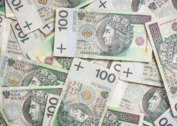 Świadczenie wychowawcze w wysokości 800 zł wypłacane od stycznia