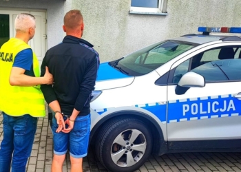 Oszukiwali przy sprzedaży truskawek. Grozi im do 8 lat więzienia