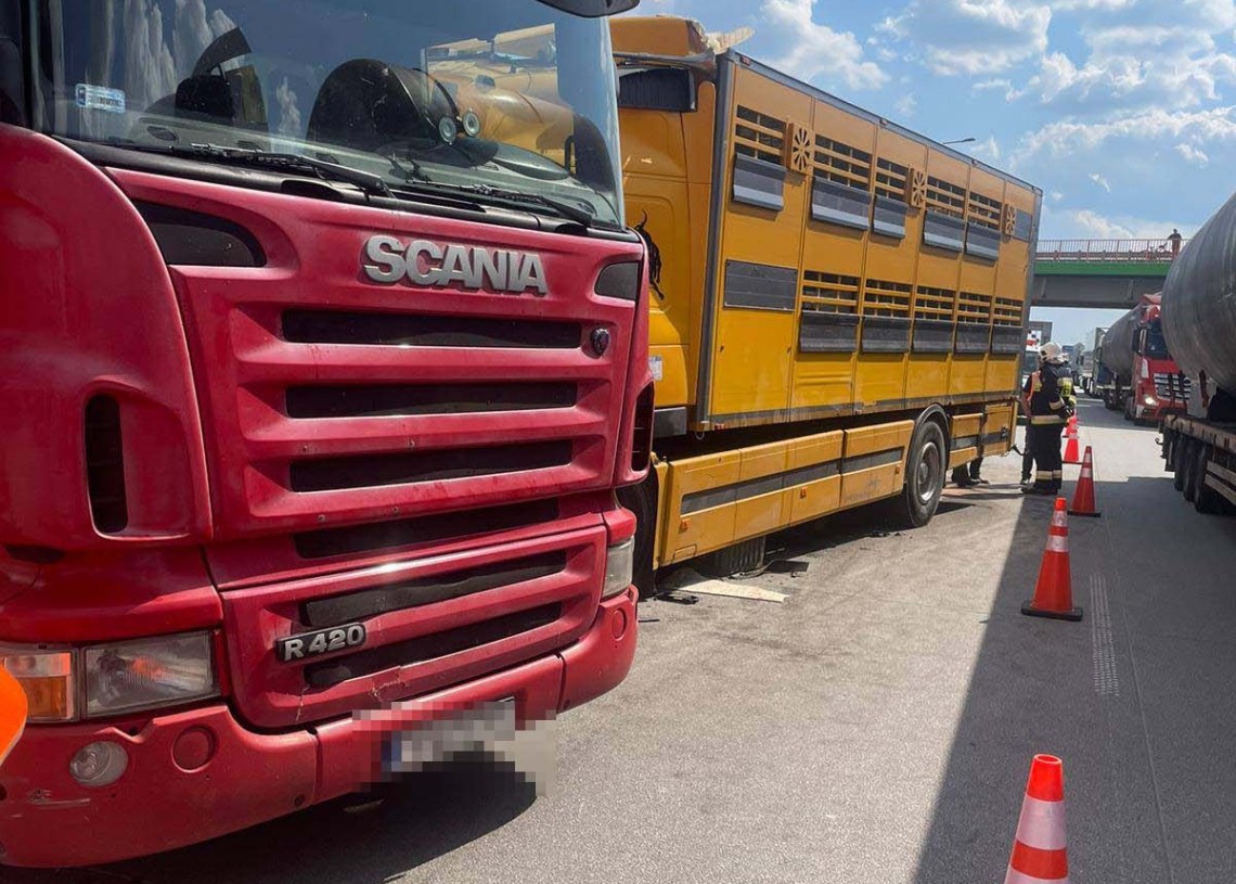 Wypadek na A1 w kierunku Gdańska