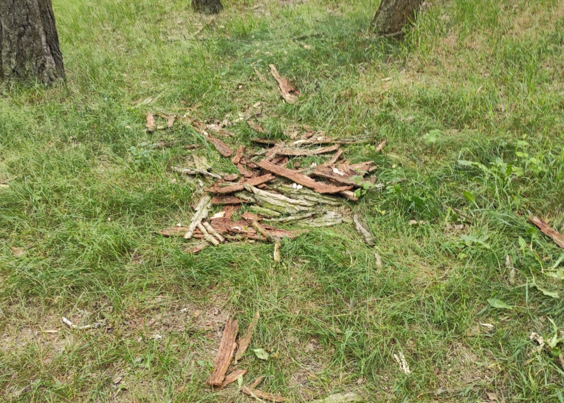 Zniszczone ławki w Parku im. gen. Zaruskiego. Mieszkańcy Stoków skarżą się, że nikt ich od dawna nie naprawiał [ZDJĘCIA]