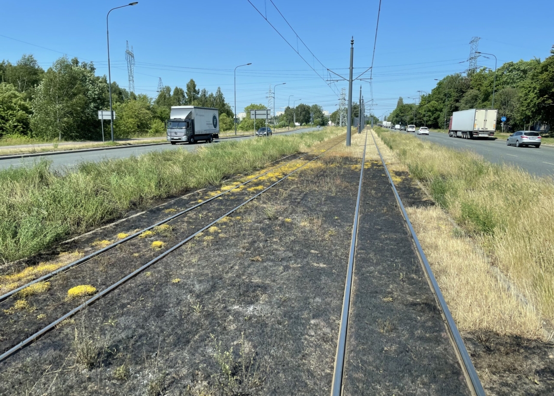 Pożar trawy przy torowisku na Rokicińskiej spowodował zatrzymanie ruchu tramwajów linii 9 i 10B