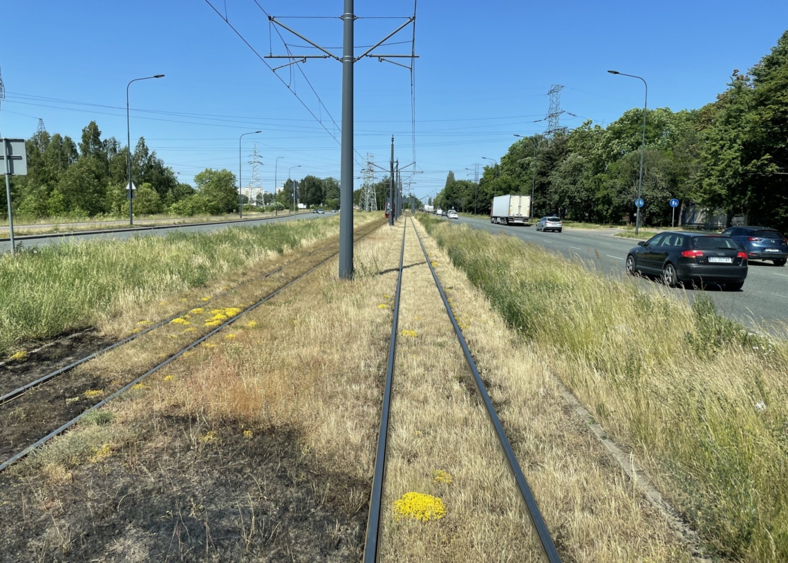 Pożar trawy przy torowisku na Rokicińskiej spowodował zatrzymanie ruchu tramwajów linii 9 i 10B