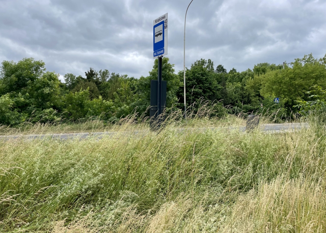 Przebudowa trasy tramwajowej do Konstantynowa. Od lipca zamkną Konstantynowską na odcinku blisko 2 km [ZDJĘCIA + WIDEO]