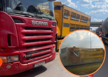 Zderzenie dwóch ciężarówek na A1 za węzłem Brzeziny