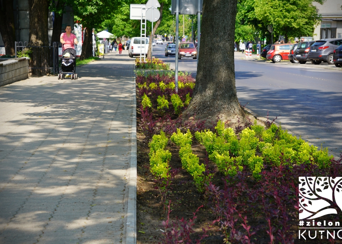 Kutno będzie pełne roślin. Demontowanie kostki i sadzenie zieleni