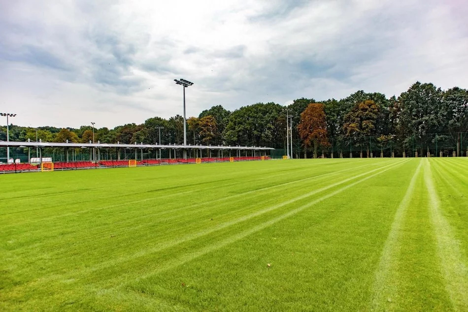 Boiska dla Widzewa, murawa dla ŁKS-u. Radni zdecydowali