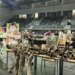 Egzotyczne zwierzęta opanowały Łódź. Ponad 30 wystawców i setki odwiedzających w Sport Arenie 7 Egzotyczne zwierzęta w Sport Arenie