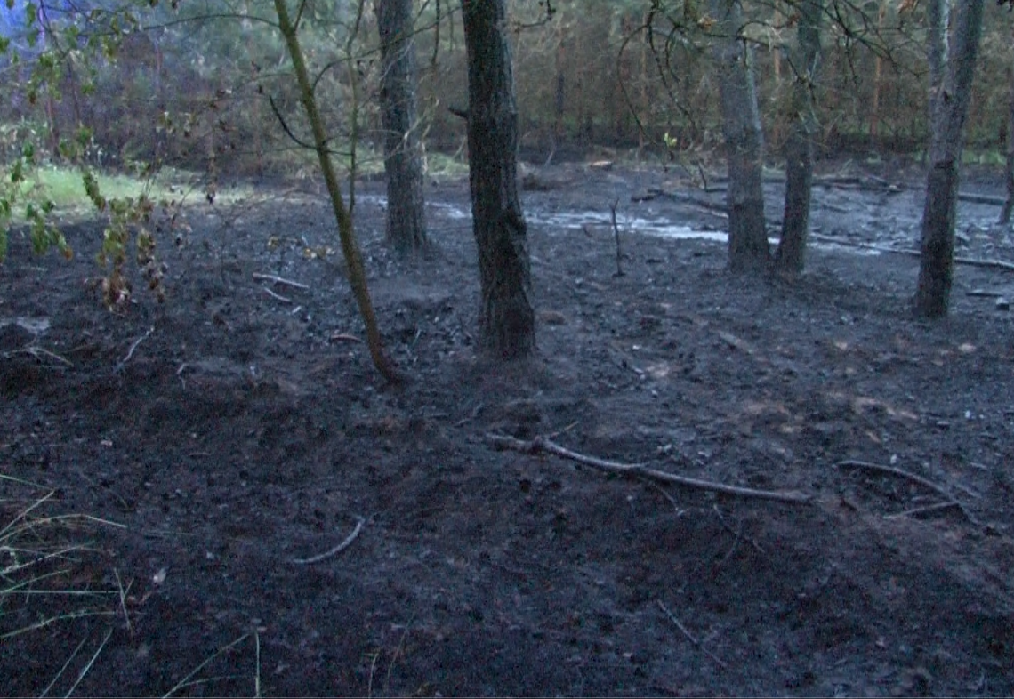 Zagrożenie pożarowe i nakazy oszczędzania wody w województwie łódzkim 1 Pożar lasu koło Zduńskiej Woli
