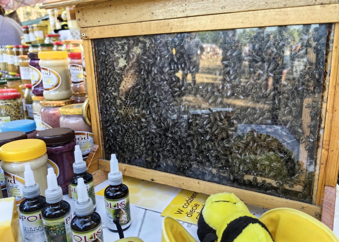 Festiwal Mleka i Miodu w Burzeninie