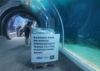 Światowy Dzień Oceanów