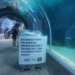 8 czerwca - Światowy Dzień Oceanów. Butelkowe instalacje w łódzkim Orientarium 6 Światowy Dzień Oceanów