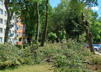 na osiedlu Wyzwolenia