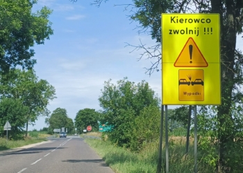 Skrzyżowanie w Wincentowie
