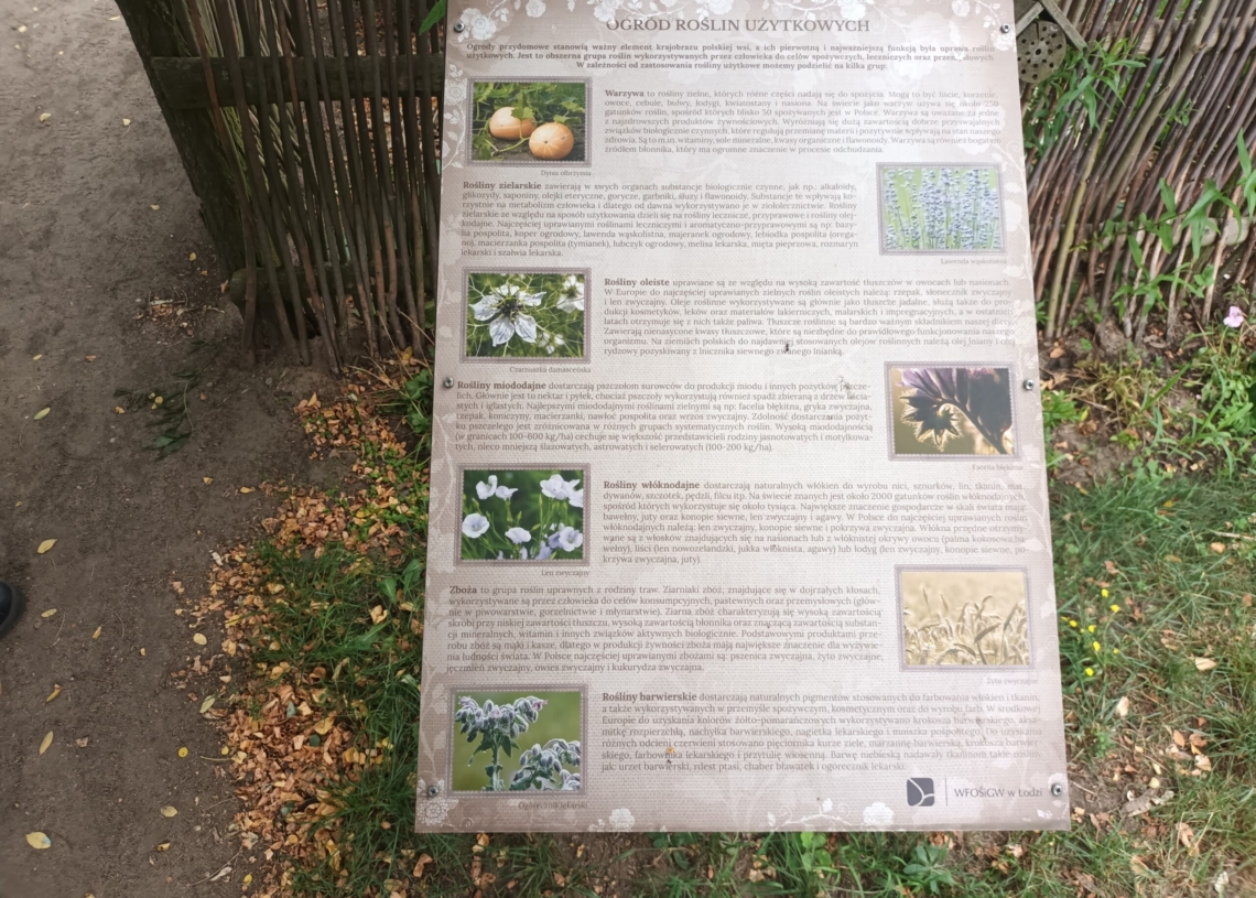 50 lat temu powstał Ogród Botaniczny w Łodzi [ZDJĘCIA]