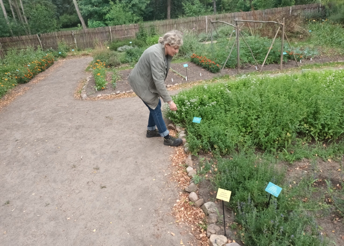 50 lat temu powstał Ogród Botaniczny w Łodzi [ZDJĘCIA]
