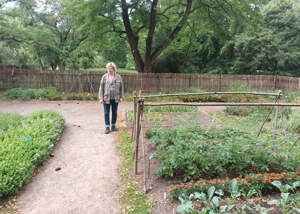 50 lat temu powstał Ogród Botaniczny w Łodzi [ZDJĘCIA]