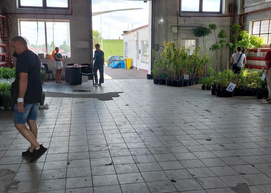Festiwal Recyklingu w Sieradzu po raz pierwszy organizowany jest latem [ZDJĘCIA]