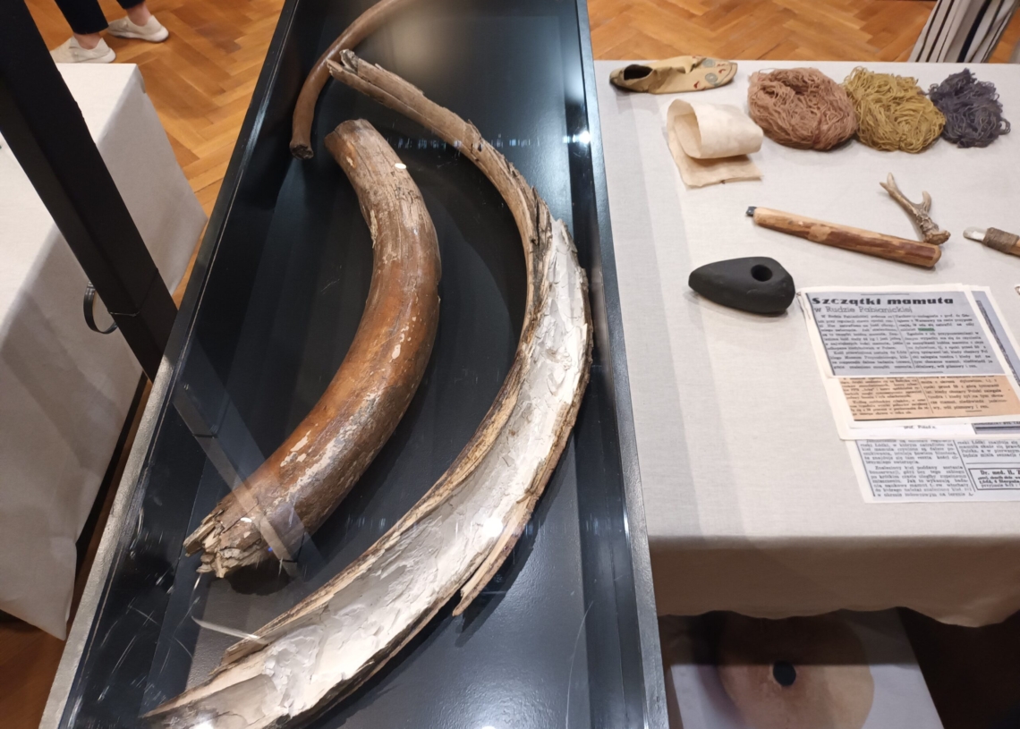 „Łódź sprzed Łodzi” – wystawa w Muzeum Archeologicznym i Etnograficznym [ZDJĘCIA]