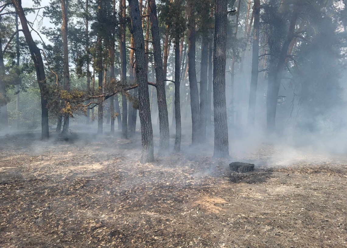 We wsi Mnichów spłonęło 80 arów poszycia leśnego. Rośnie zagrożenie pożarowe w lasach