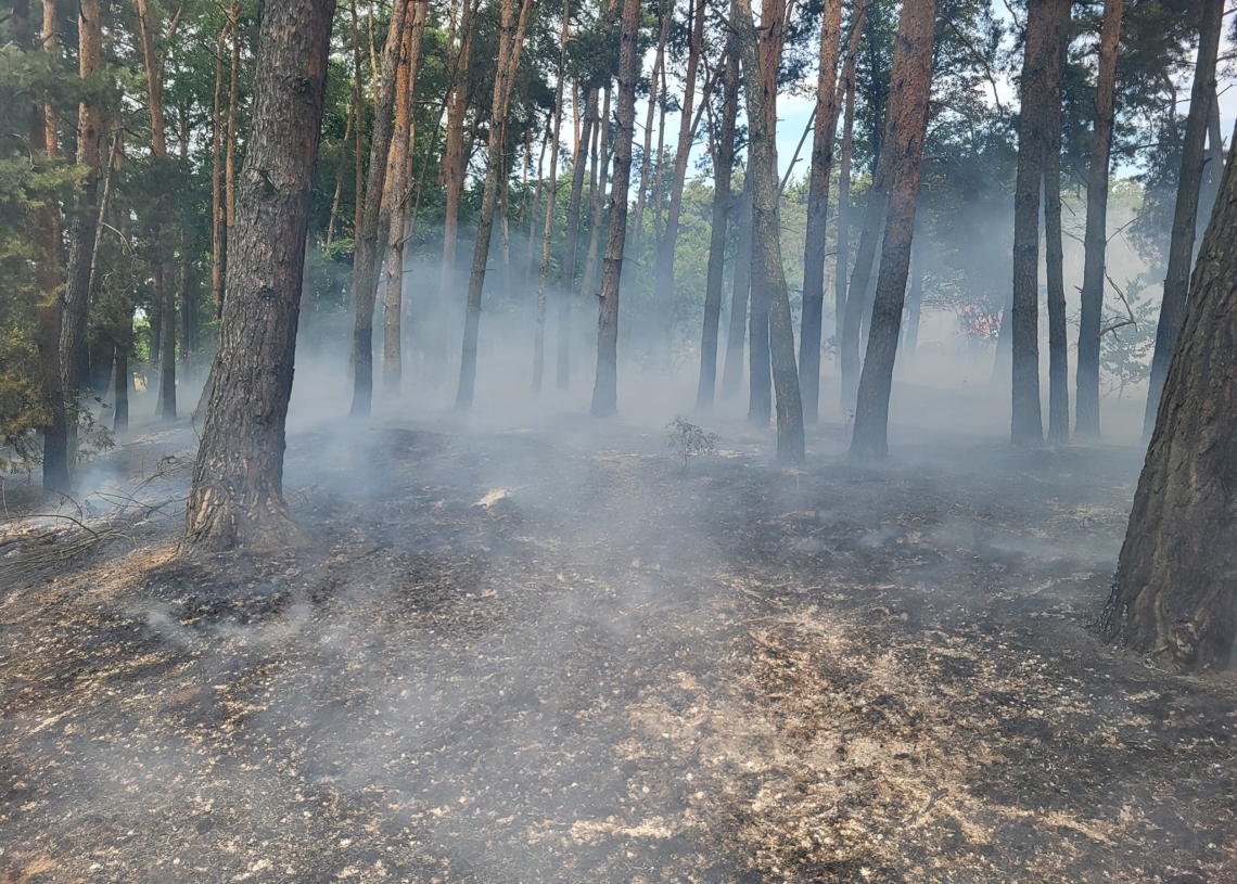 We wsi Mnichów spłonęło 80 arów poszycia leśnego. Rośnie zagrożenie pożarowe w lasach