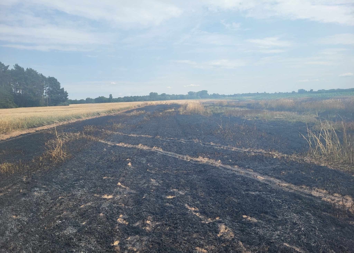 We wsi Mnichów spłonęło 80 arów poszycia leśnego. Rośnie zagrożenie pożarowe w lasach