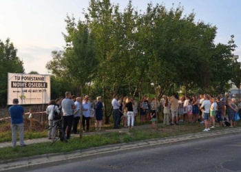 Mieszkańcy Pienistej walczą o drzewa za swoimi oknami