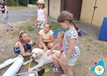 Wolontariusze Fundacji Dr Clown łączą siły ze specjalistami od dogoterapii 2 Wolontariusze Fundacji Dr Clown łączą siły ze specjalistami od dogoterapii