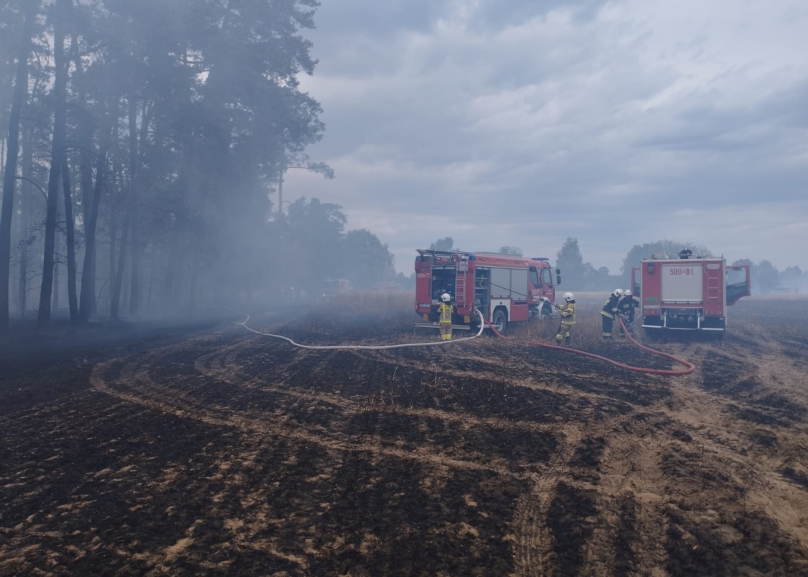 Pożar trawy i zboża w miejscowości Księże Młyny [ZDJĘCIA]