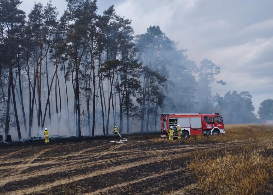Pożar trawy i zboża w miejscowości Księże Młyny [ZDJĘCIA]