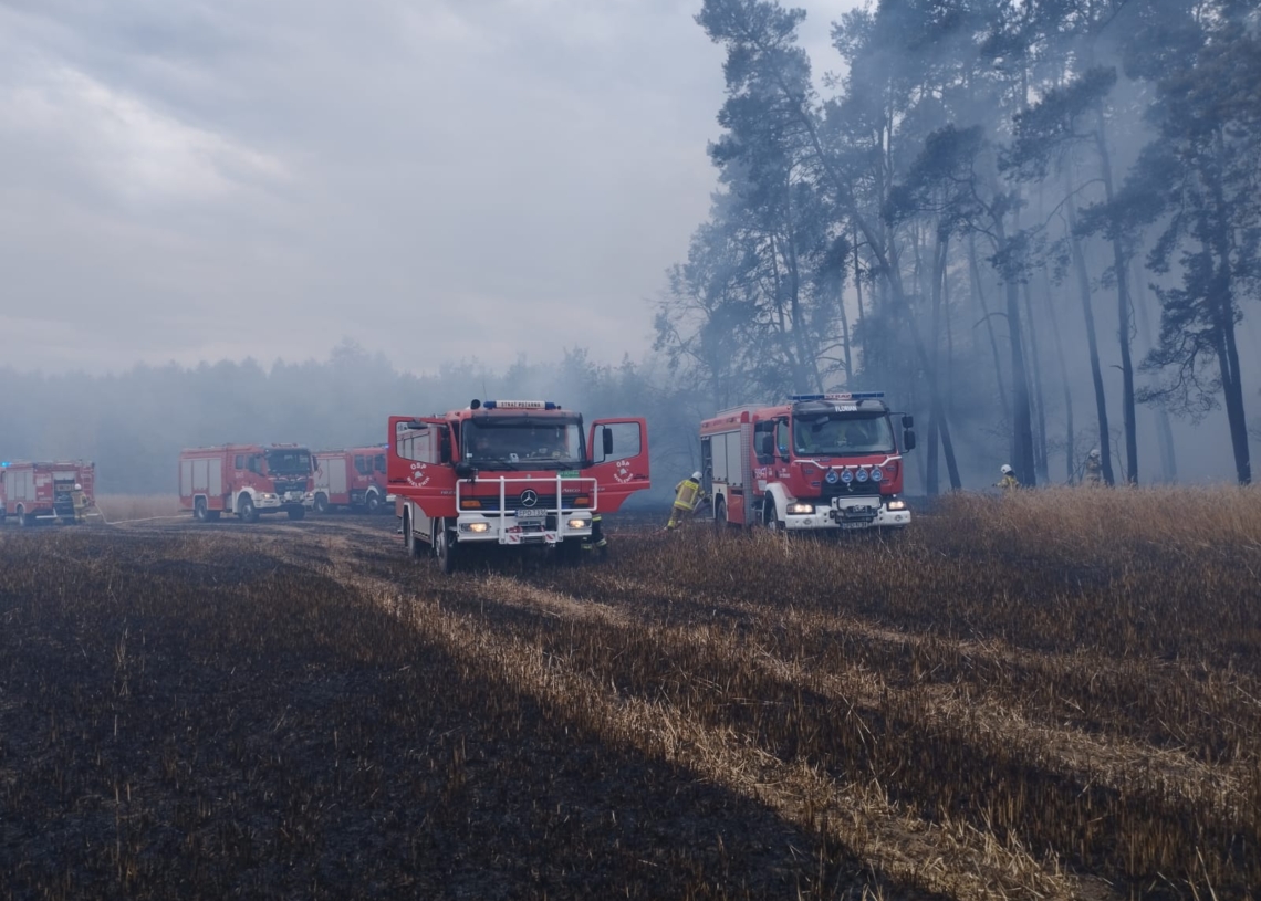 Pożar trawy i zboża w miejscowości Księże Młyny [ZDJĘCIA]