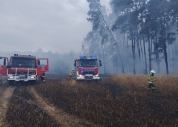 miejscowości Księże Młyny