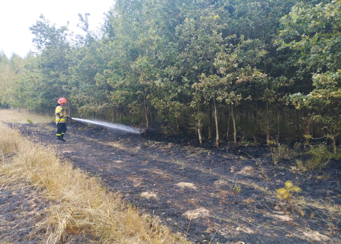Pożar trawy i zboża w miejscowości Księże Młyny [ZDJĘCIA]