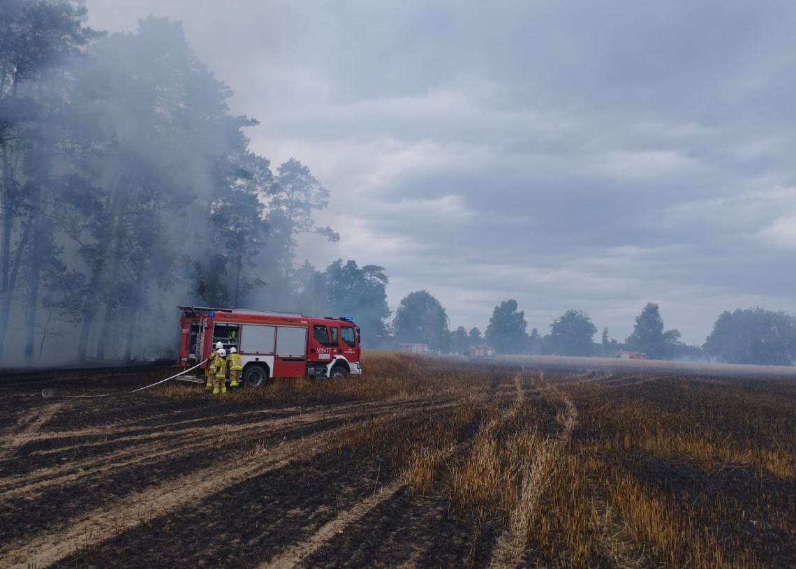 Pożar trawy i zboża w miejscowości Księże Młyny [ZDJĘCIA]