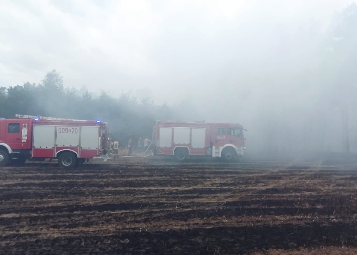 Pożar trawy i zboża w miejscowości Księże Młyny [ZDJĘCIA]