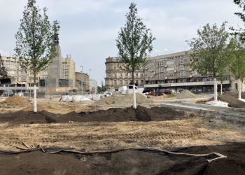 przebudowa Placu Wolności