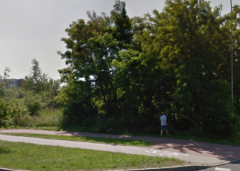 nowy park