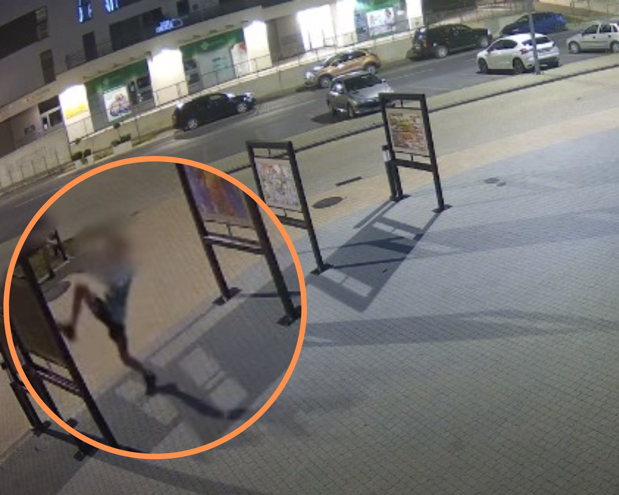 Wandal ze Skierniewic niszczy wystawę przed CeKiS