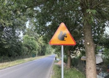 Ksawerów dba o wiewiórki