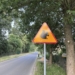 Ksawerów dba o wiewiórki