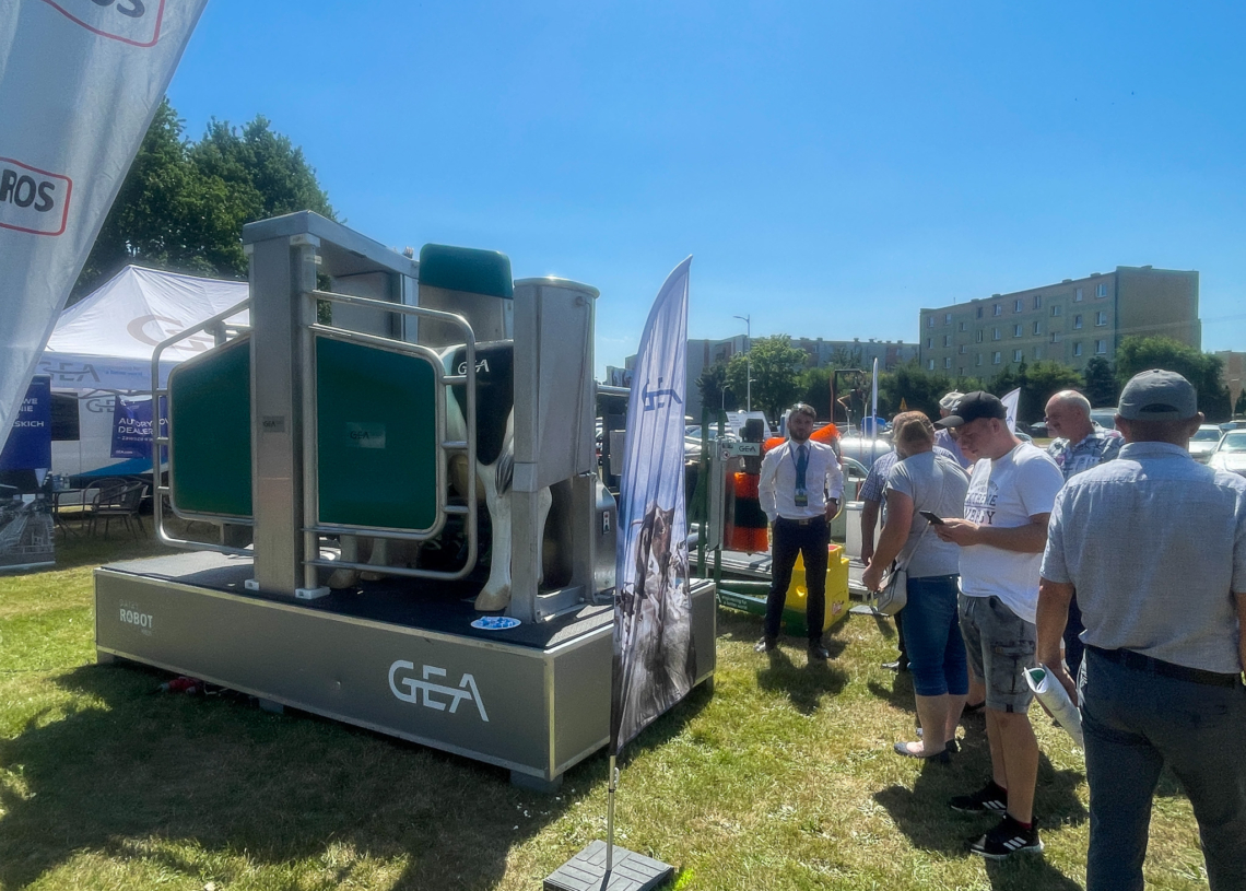 Festiwal mleka w Sieradzu