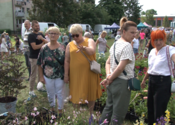 15. Święto Kwiatów w Zduńskiej Woli
