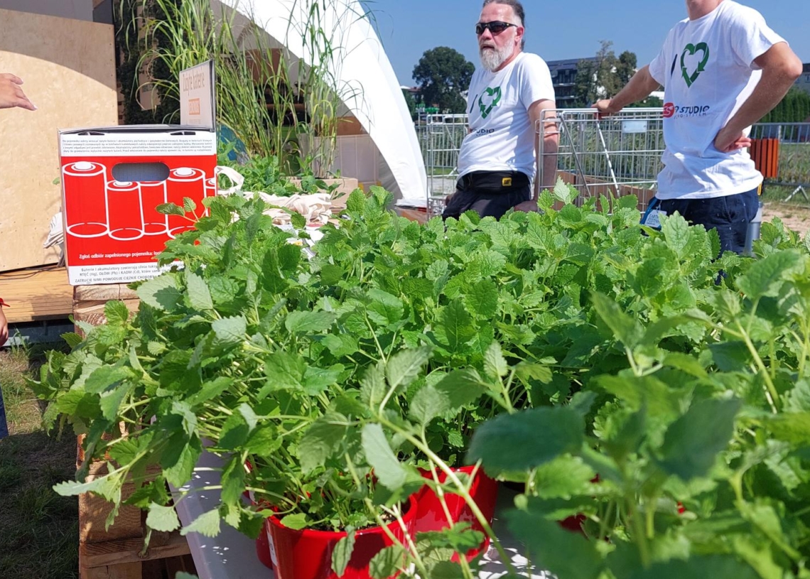 Rozpoczął się Earth Festiwal w Uniejowie [ZDJĘCIA]