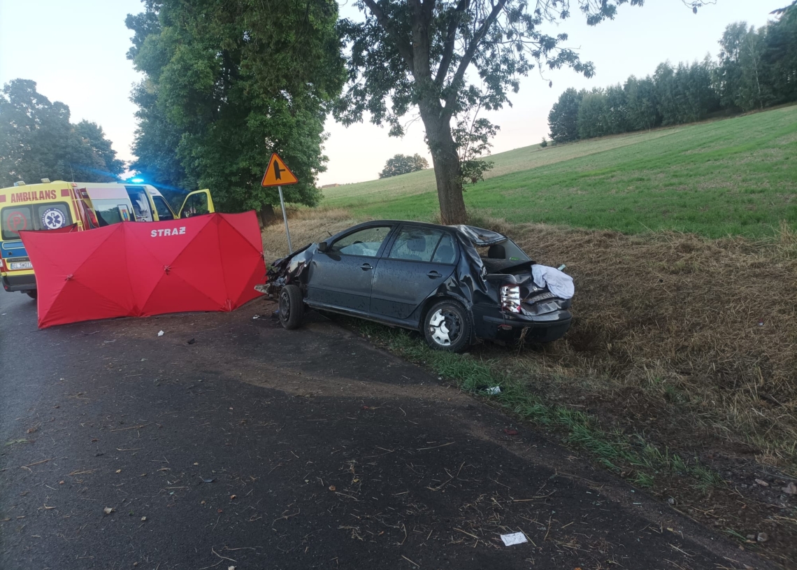 Śmiertelny wypadek w Bogumiłowie